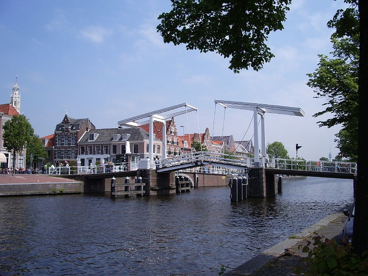 IMGP0375.JPG