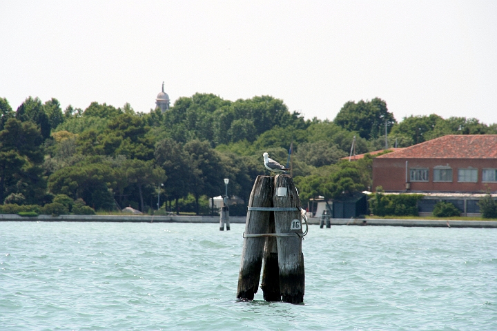 IMG_1795.JPG